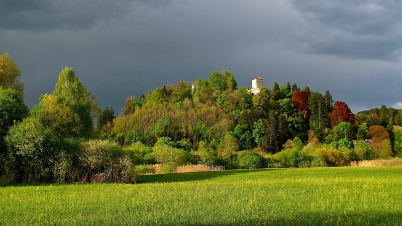 Castle on a Hill — Green, Dramatic, Afternoon, Photograph, Trees