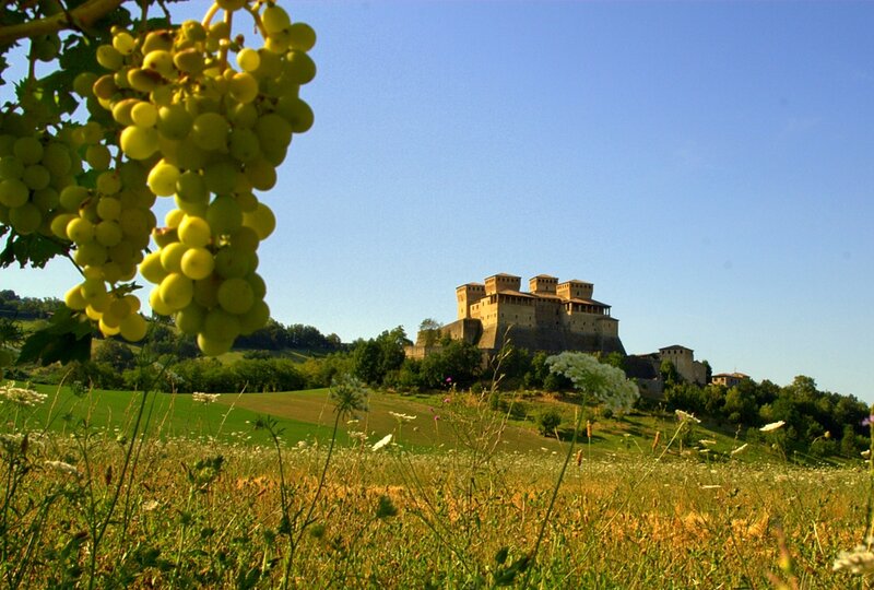 Castle on a Hill — Green, Serene, Afternoon, Photograph, Grapes