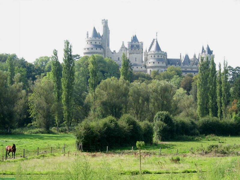 Castle on a Hill — Green, Serene, Afternoon, Photograph, Horse