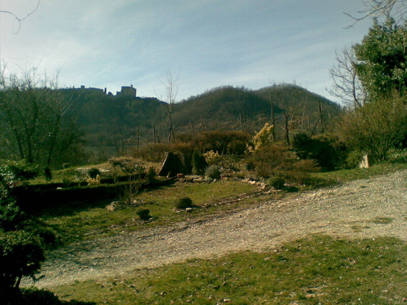 Castle on a Hill — Green, Serene, Afternoon, Photograph, Trees, Gravel Path