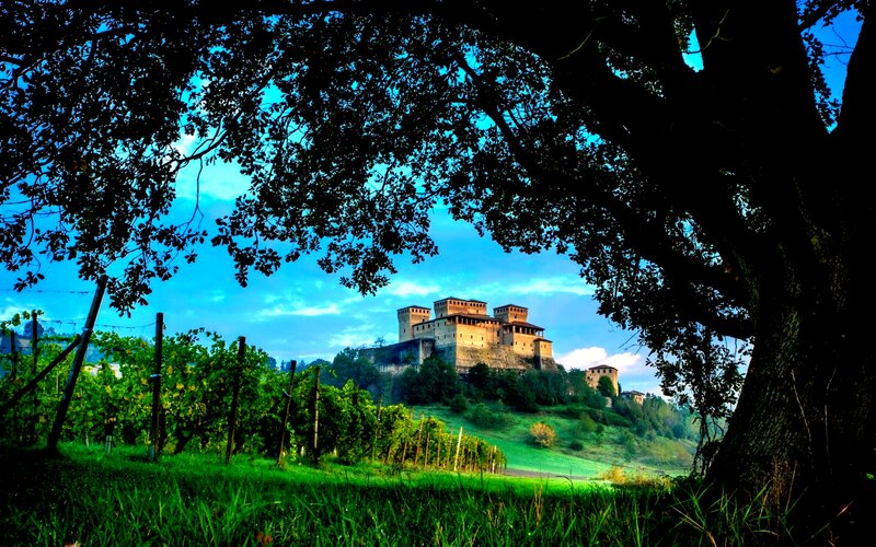 Castle on a Hill — Green, Serene, Afternoon, Photograph, Vineyard
