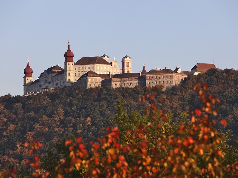 Castle on a Hill — Green, Serene, Autumn, Photograph, Trees, Buildings