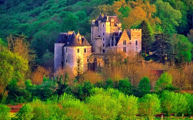 Castle on a Hill — Green, Serene, Sunset, Photograph, Trees