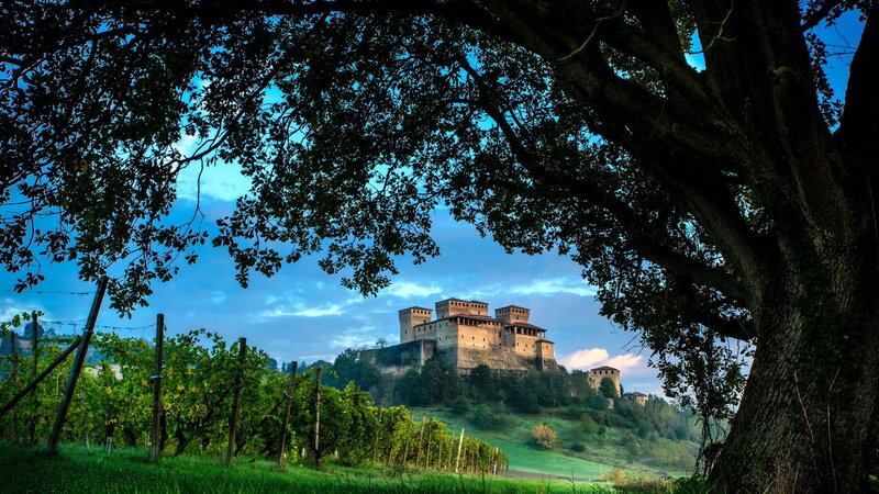 Castle on a Hill — Green, Serene, Sunset, Photograph, Vineyard, Tree