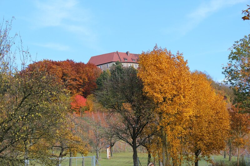 Castle on a hill in autumn