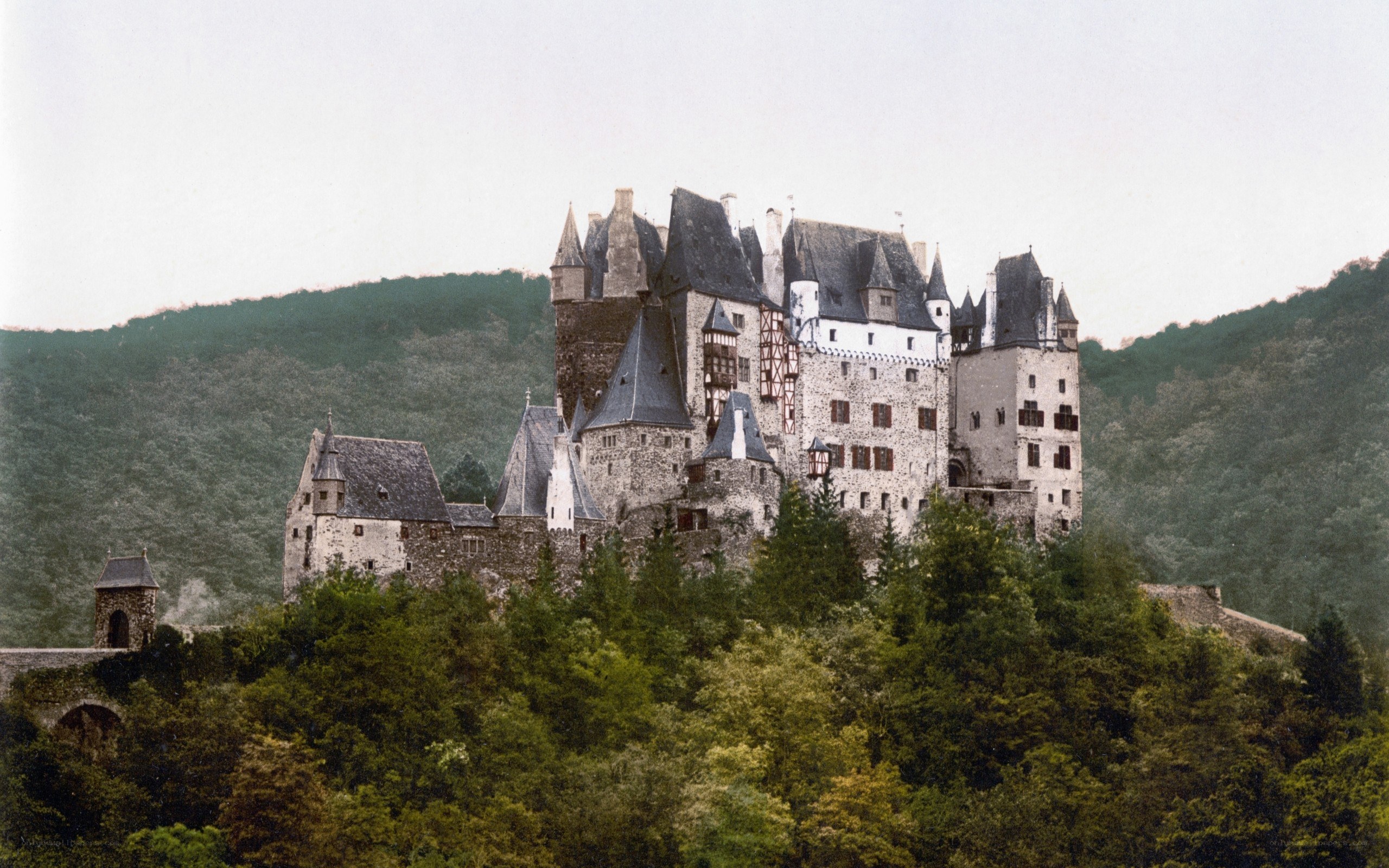 Castle on a hill surrounded by trees