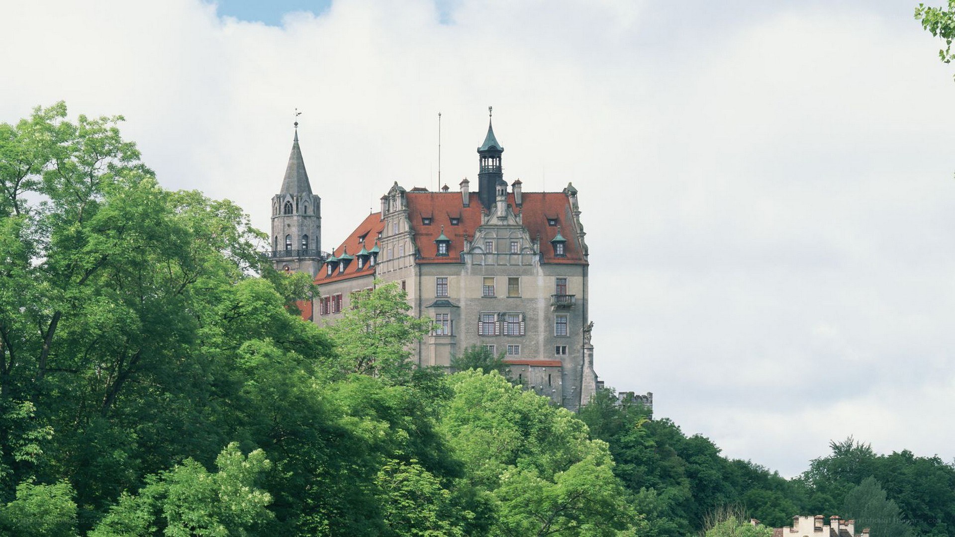 castle on a hill surrounded by trees