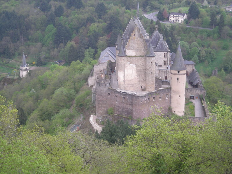castle on a hill surrounded by trees