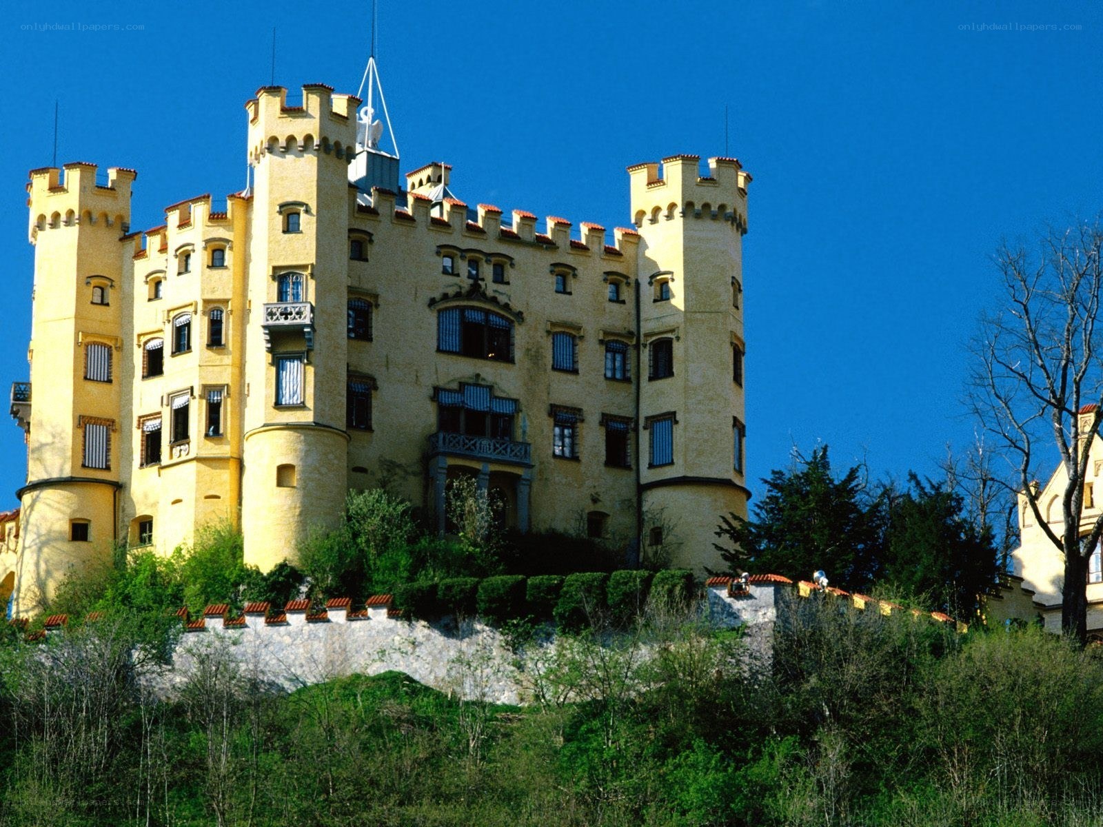 castle on a hill under blue sky