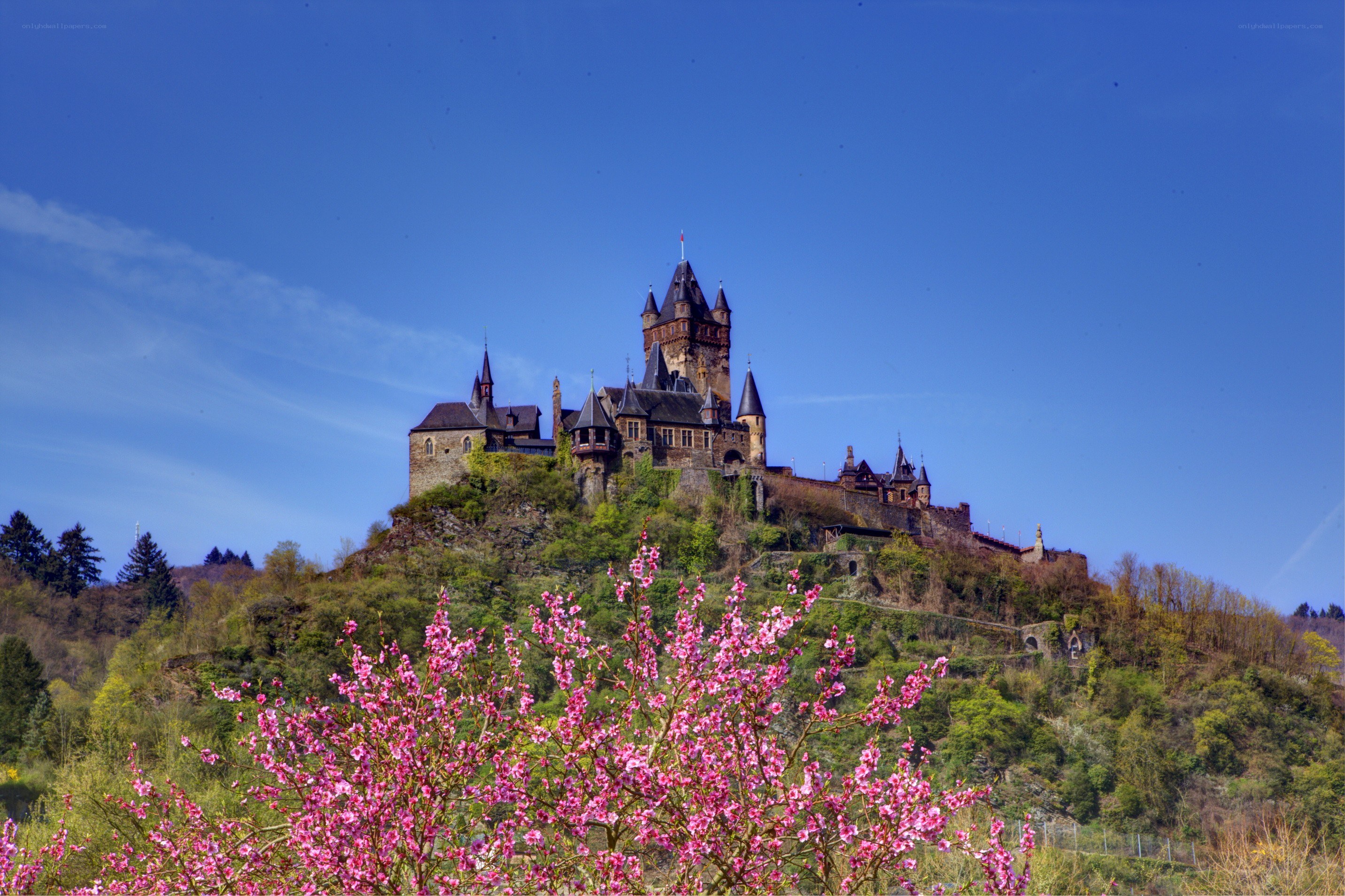 Castle on a hill with blooming trees