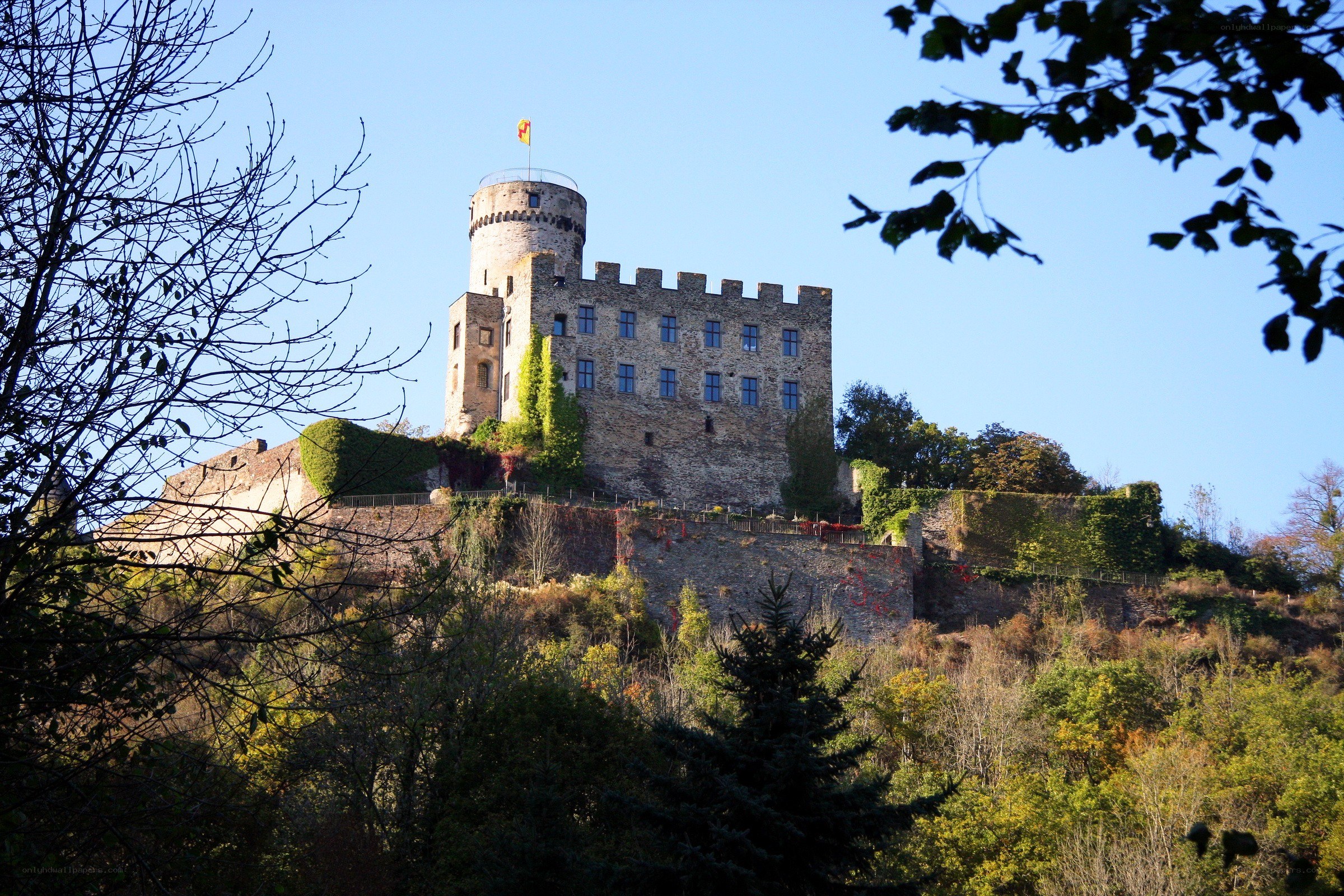 castle on a hill with flag