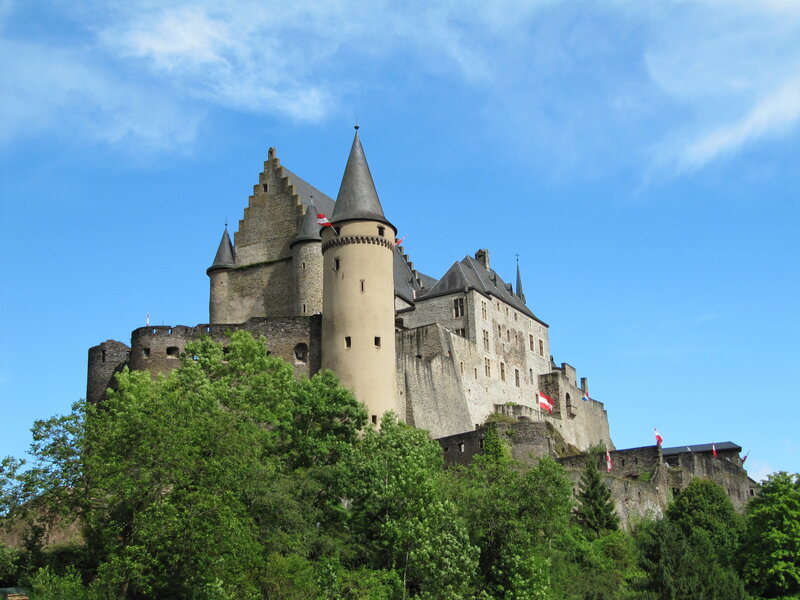 Castle on a hill with flags