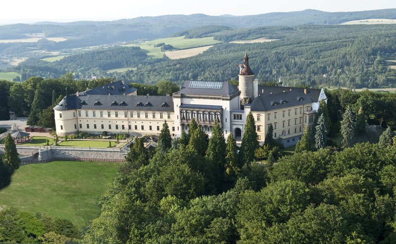 Castle on a hill with forest view