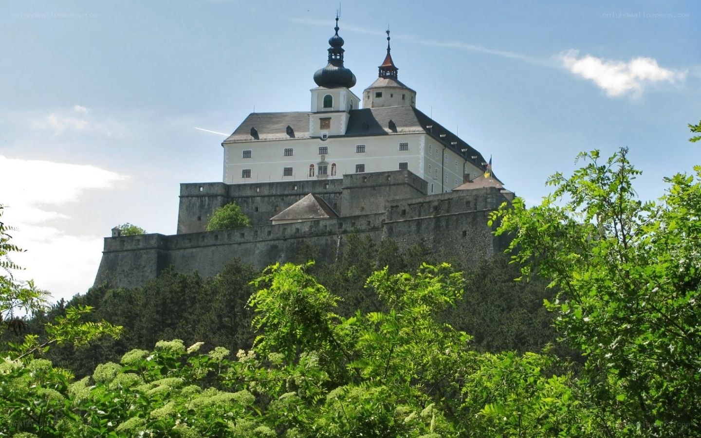 castle on a hill with green trees