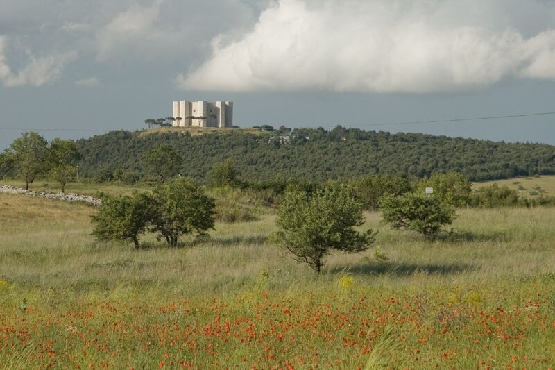 Castle on a hill with poppies