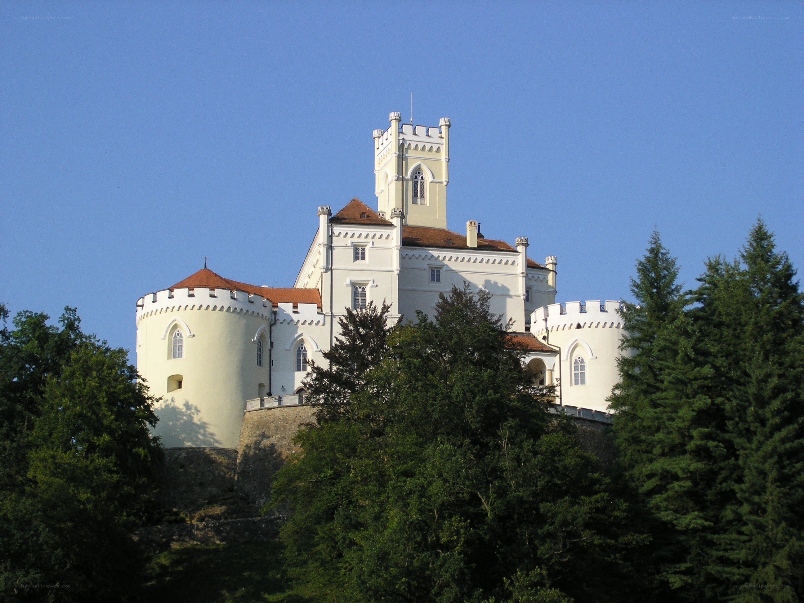 Castle on a hill with trees