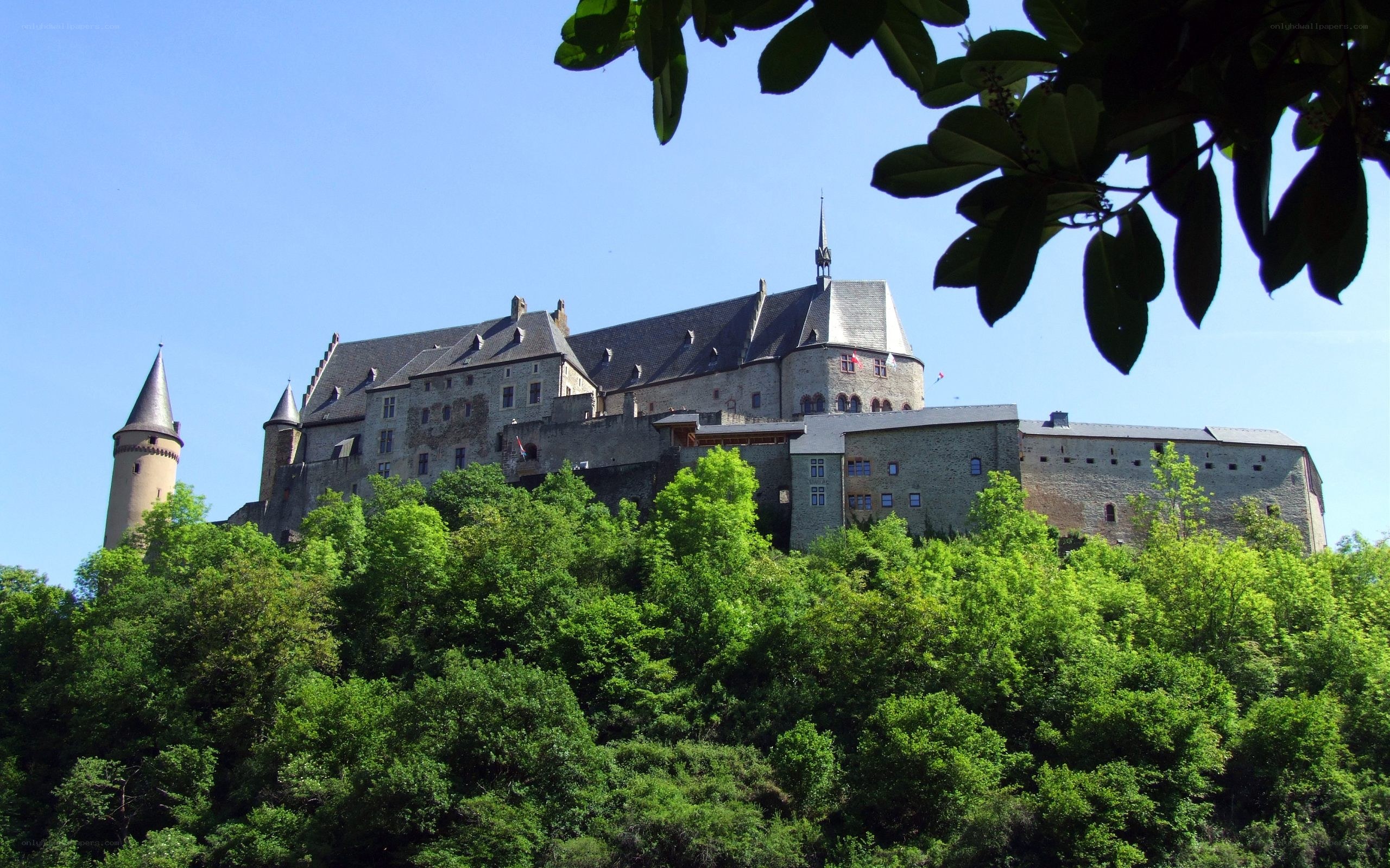 castle on a hill with trees