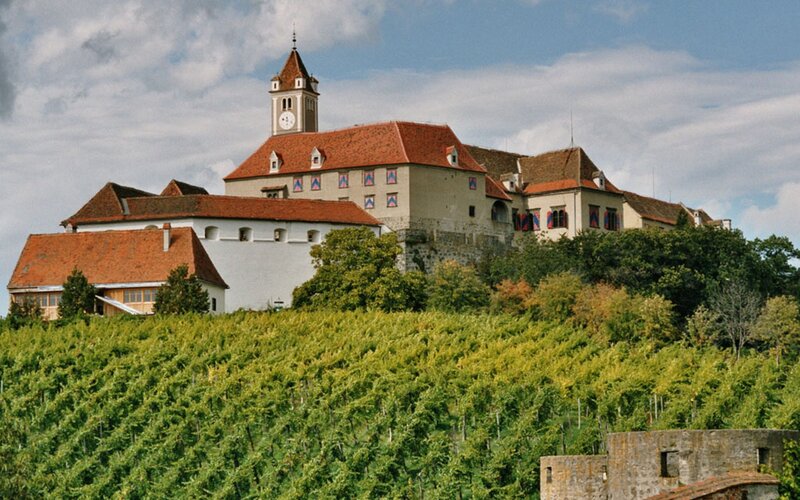 castle on a hill with vineyards