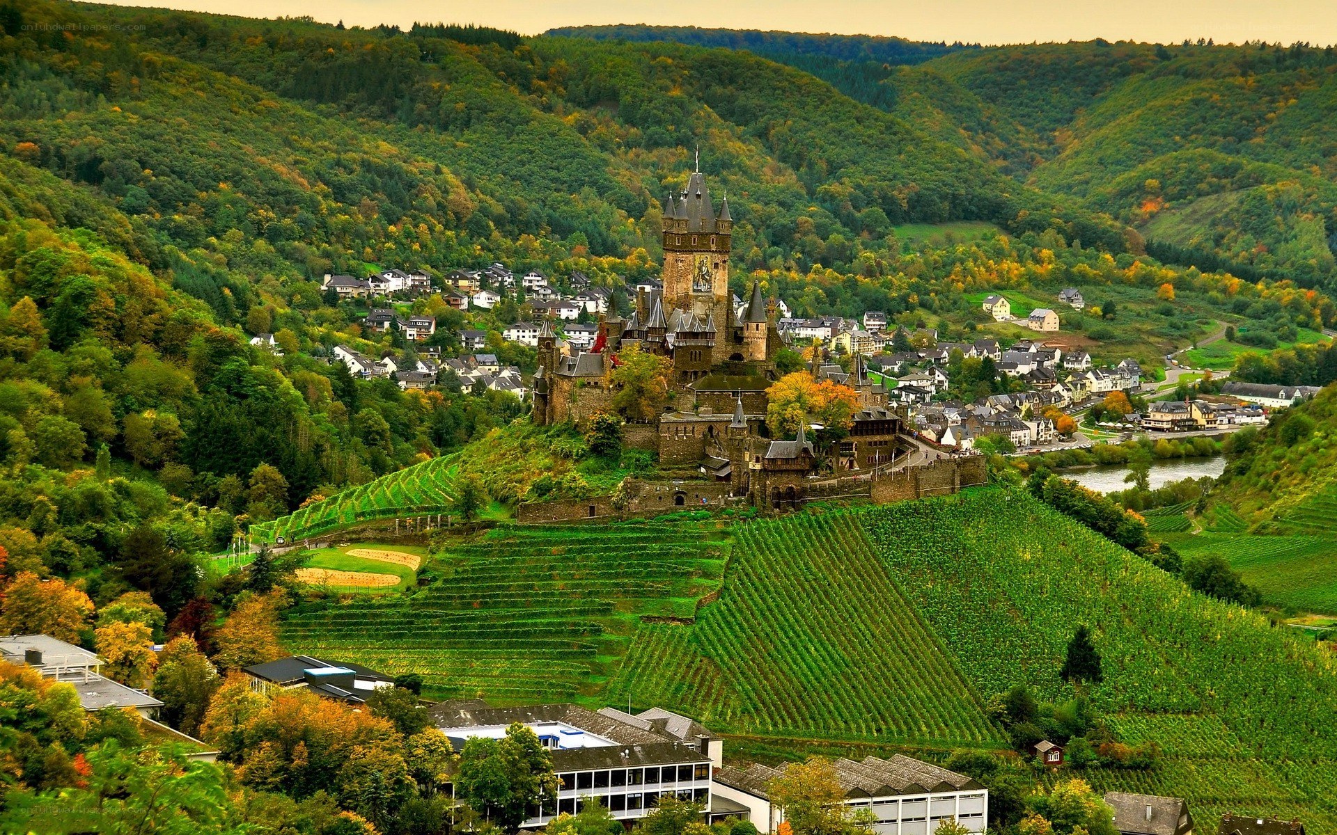 Castle on a hill with vineyards