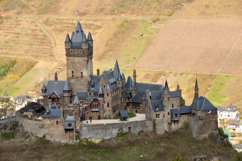 Castle on a hill with vineyards
