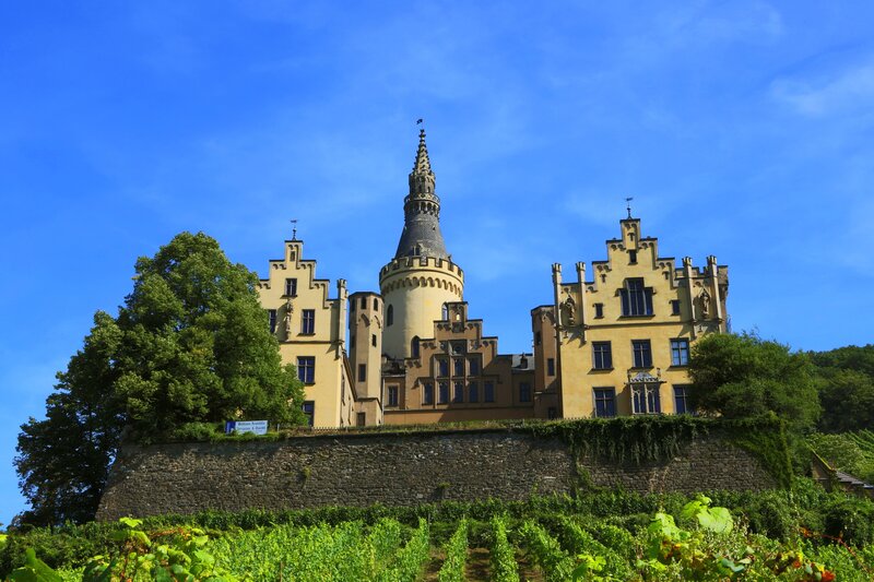 Castle on a hill with vineyards