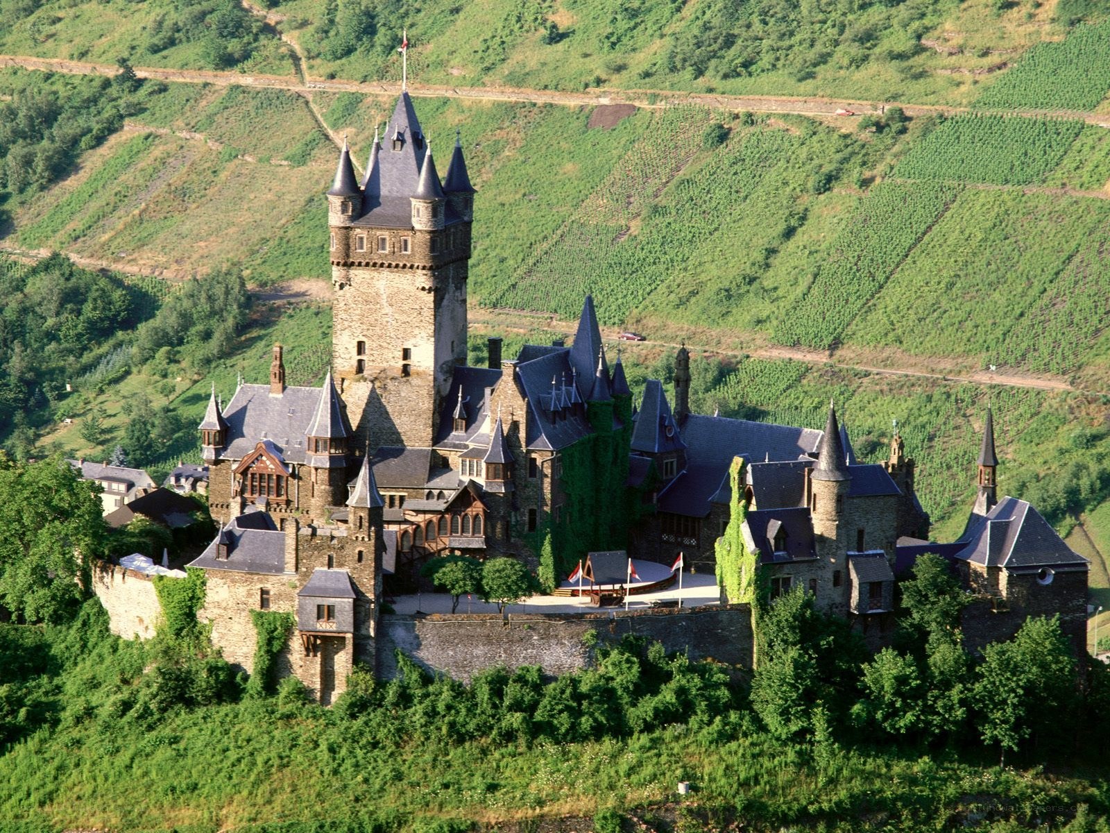 Castle on a hillside with vineyards