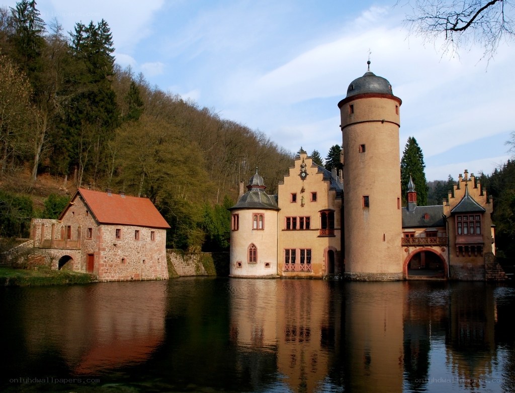 castle on a lake with forest