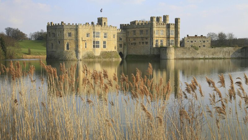 Castle on a lake with reeds
