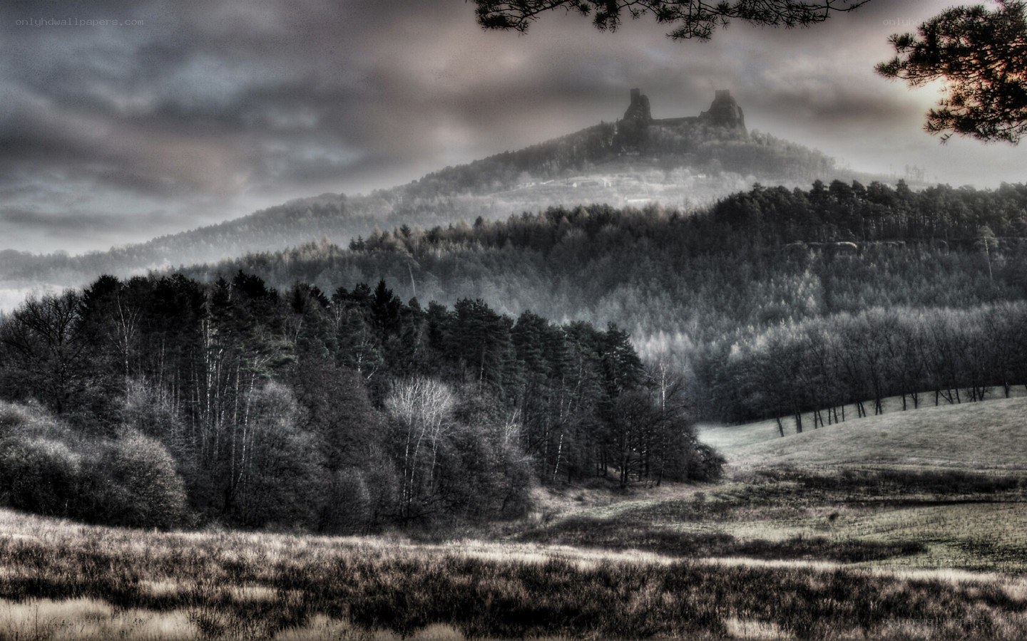Castle on a misty hill