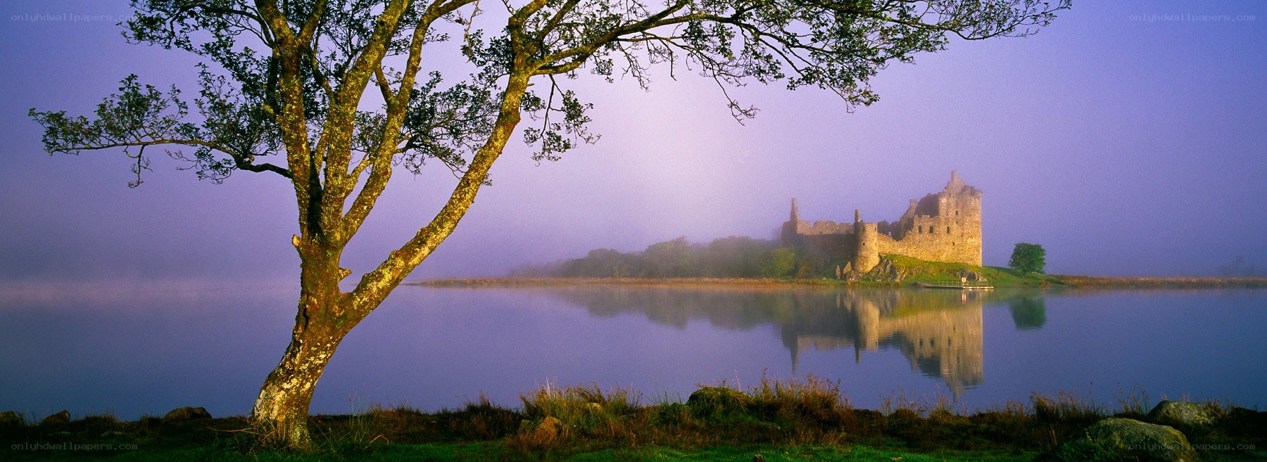 Castle on a misty lake