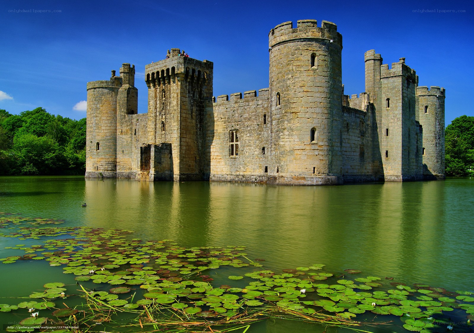 Castle on a moat with lily pads