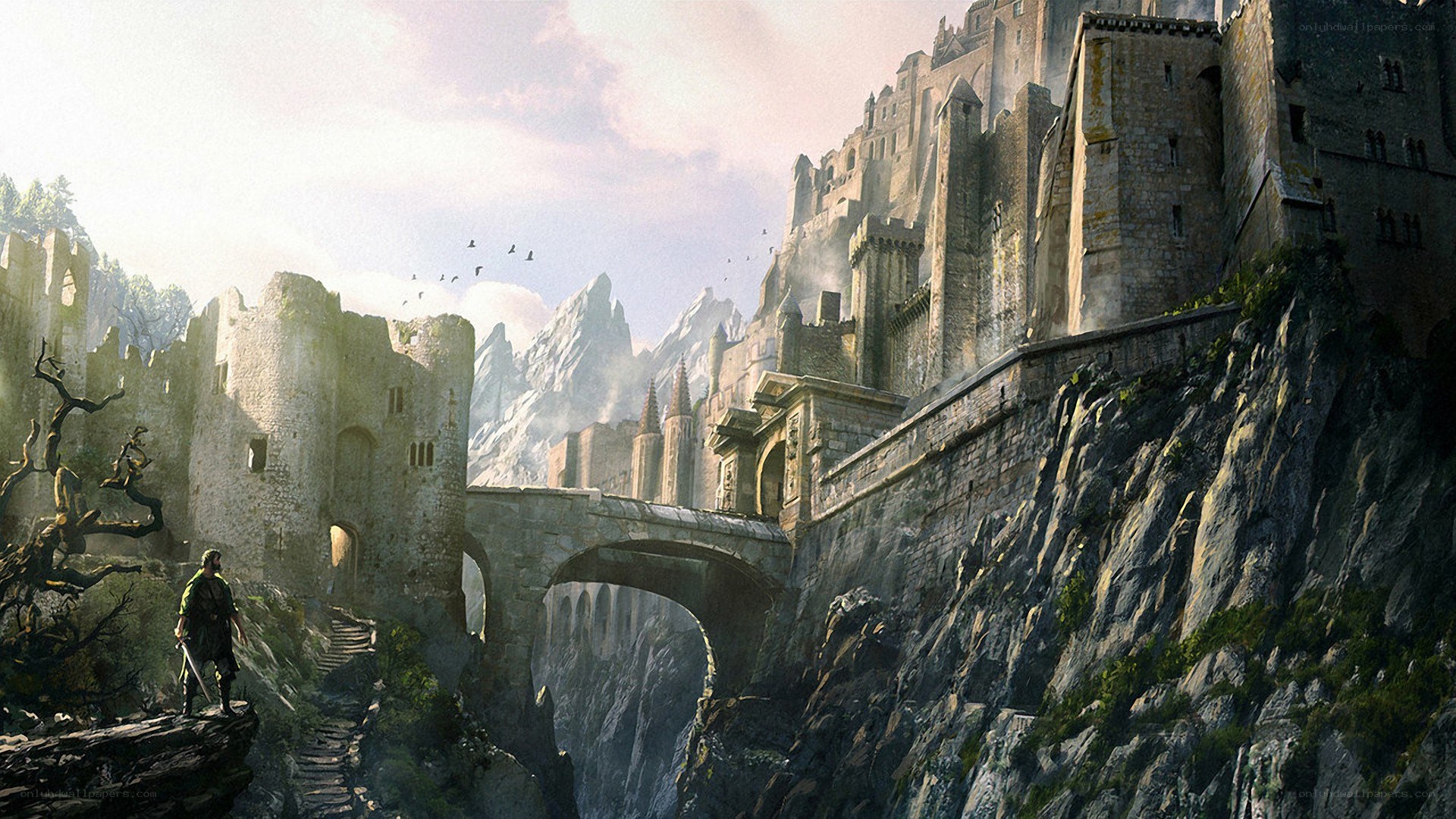 castle on a mountain cliff