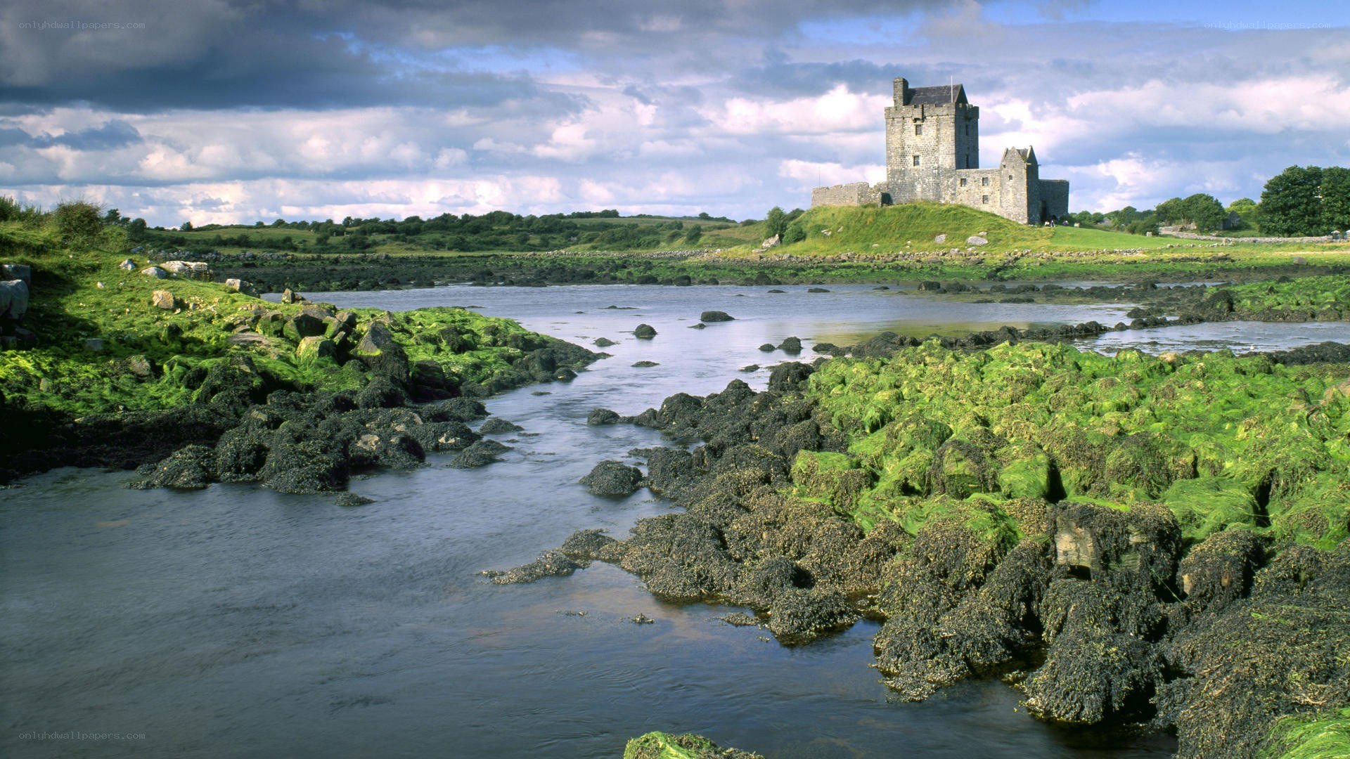 castle on a riverbank