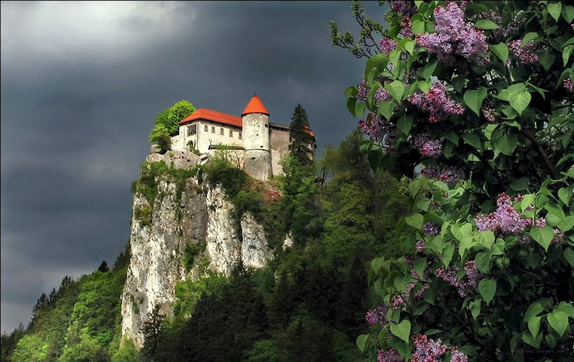 castle on a rocky cliff