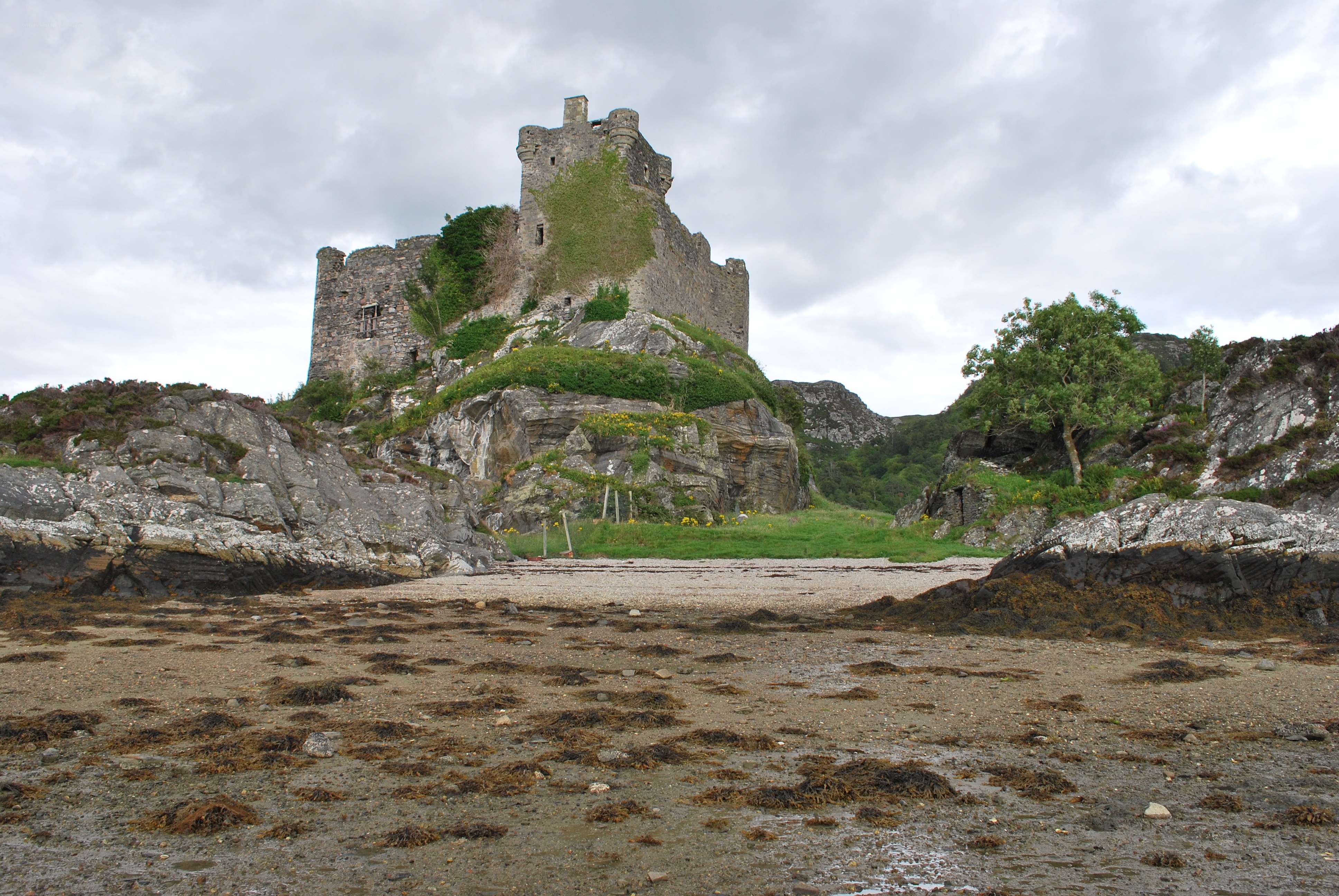 Castle on a rocky shore