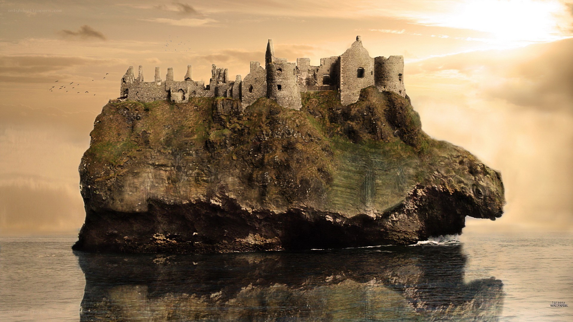 castle on a sea turtle island