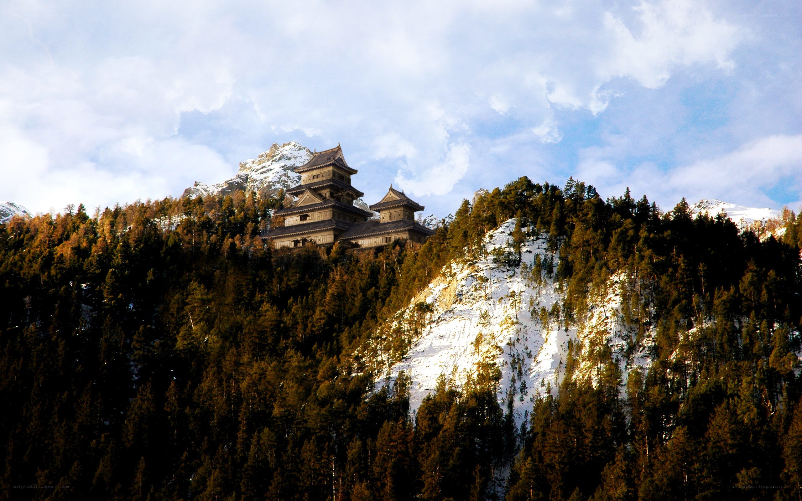 Castle on a snowy mountain