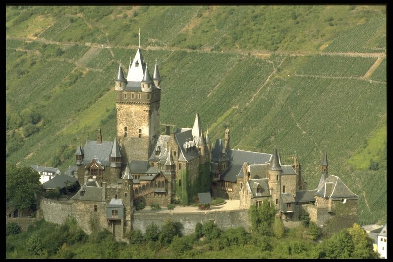 castle on a vineyard hill