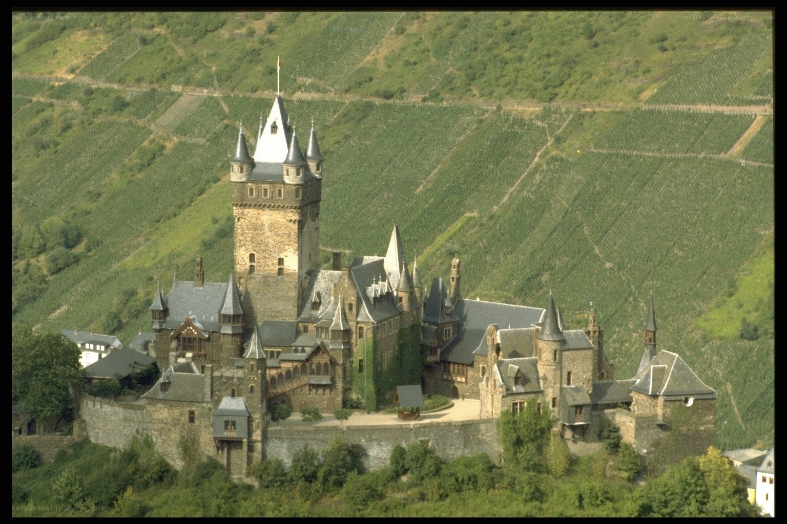 castle on a vineyard hill
