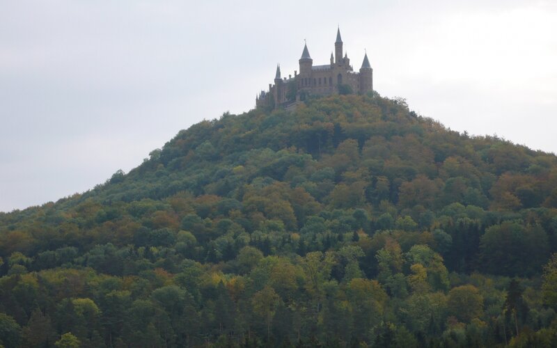 Castle on Forested Hill