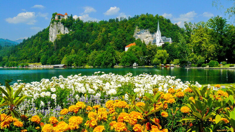 Castle on Hill by Lake