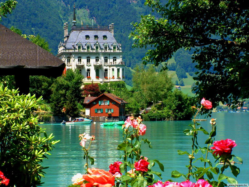 Castle on Lake Shore — Green, Serene, Afternoon, Photograph, Roses