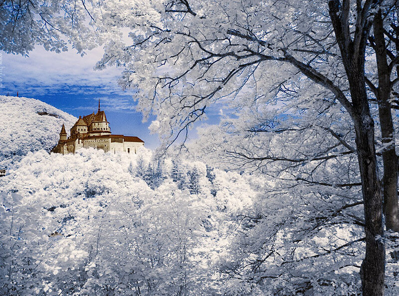 Castle on Snowy Hill