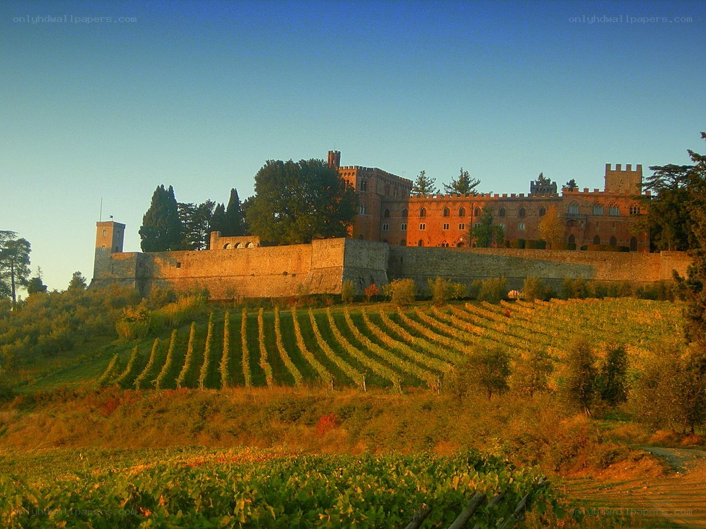 Castle overlooking vineyards at sunset