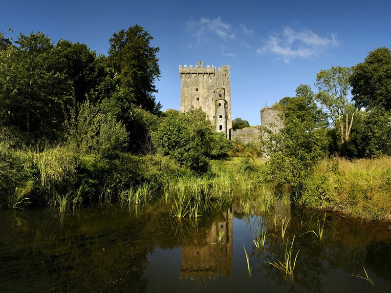 Castle reflected in a pond