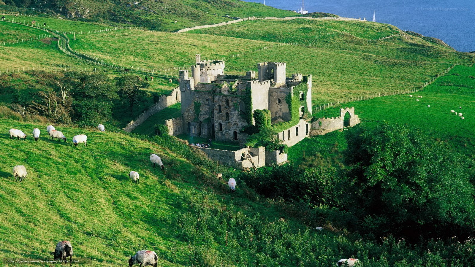 Castle ruins on a green hillside