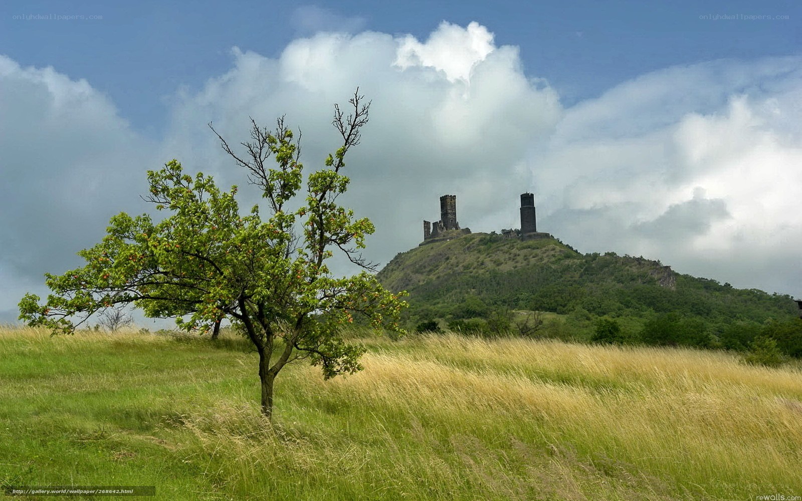 Castle ruins on a hill