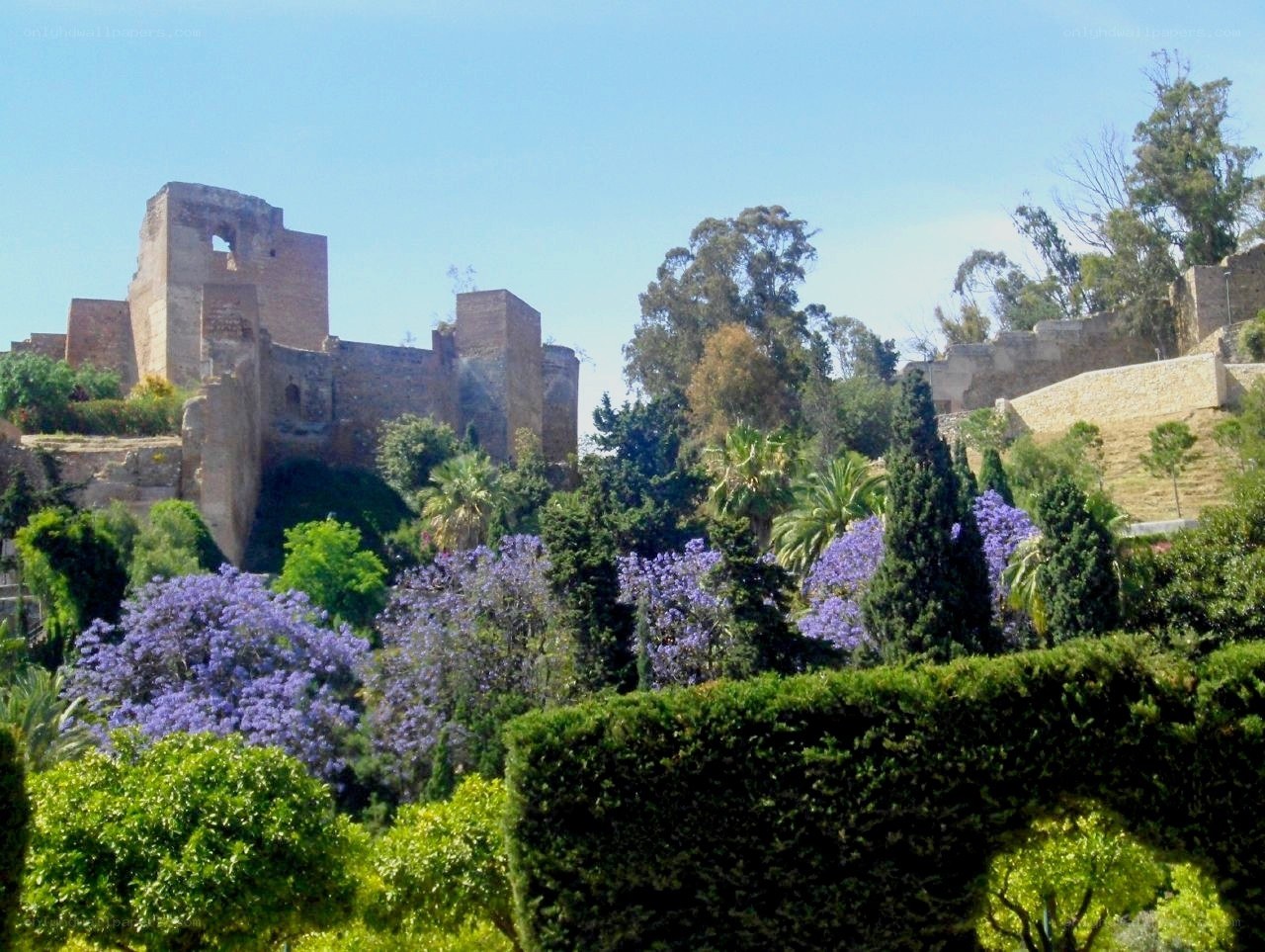 castle ruins with purple trees