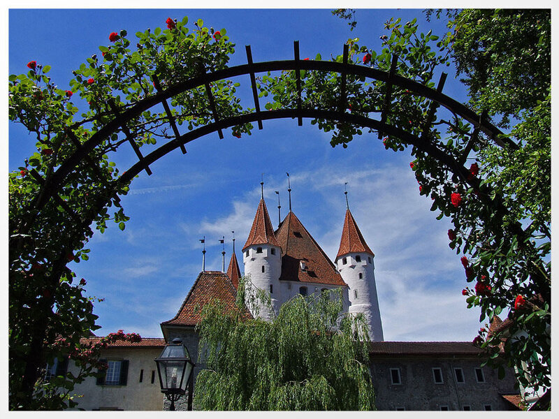 Castle Through Rose Arch