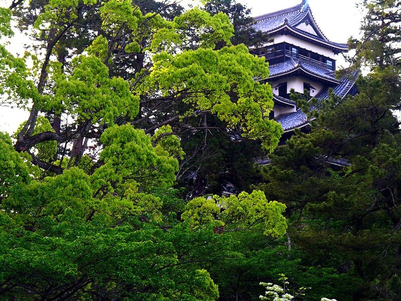 Castle tower behind trees